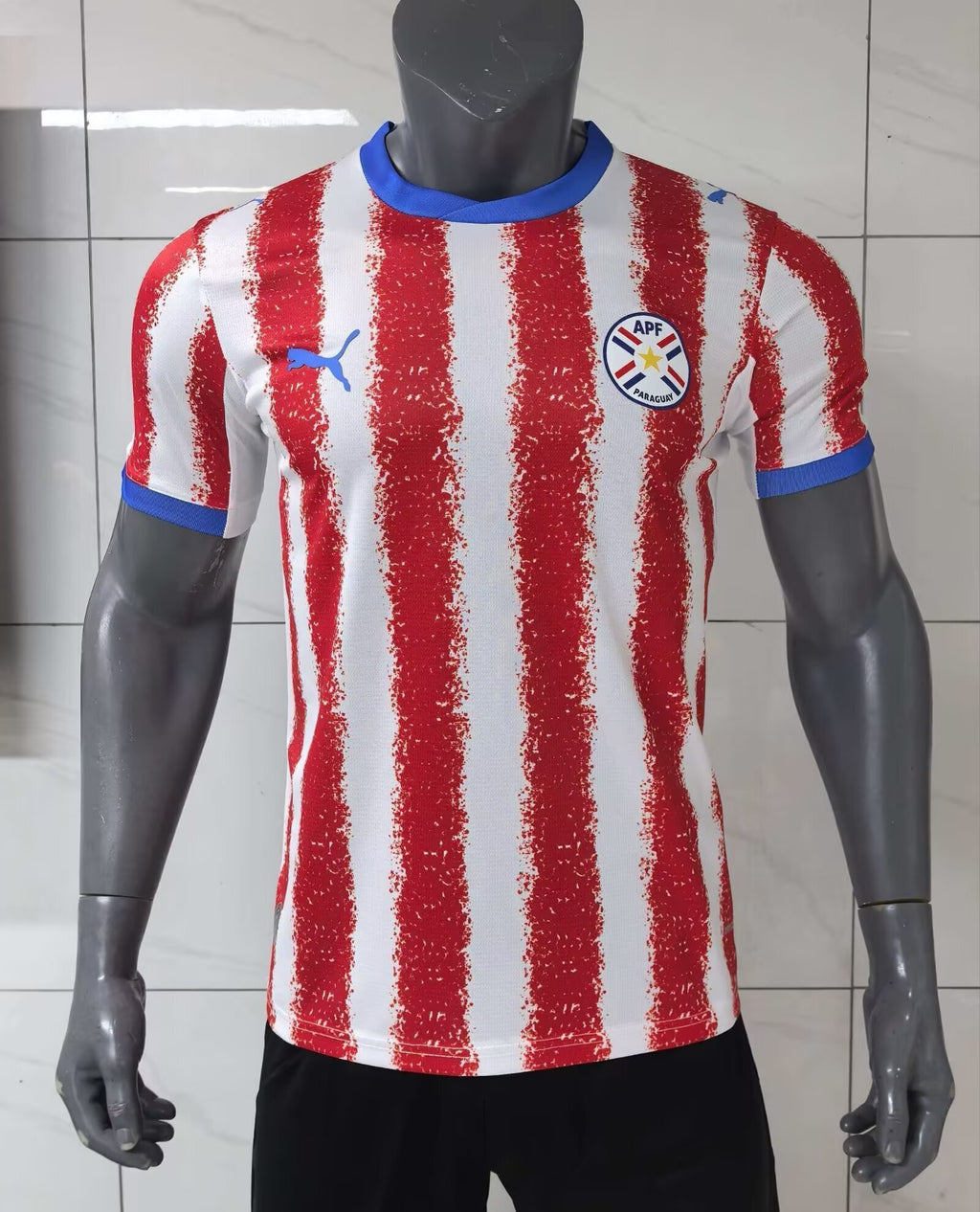 2026 Paraguay Home Jersey Player