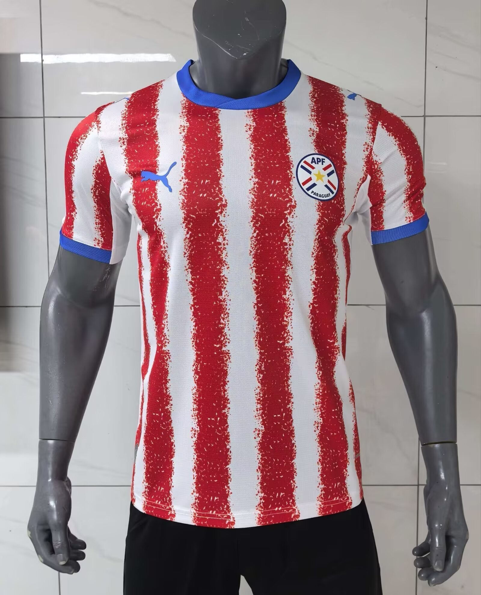 2026 Paraguay Home Jersey Player