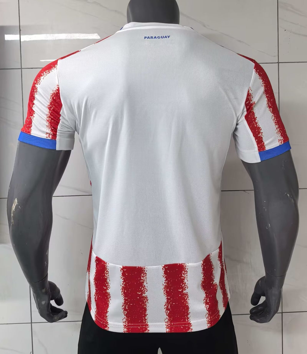 2026 Paraguay Home Jersey Player